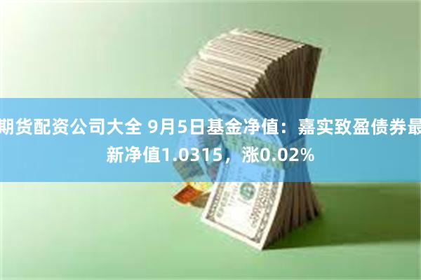 期货配资公司大全 9月5日基金净值：嘉实致盈债券最新净值1.