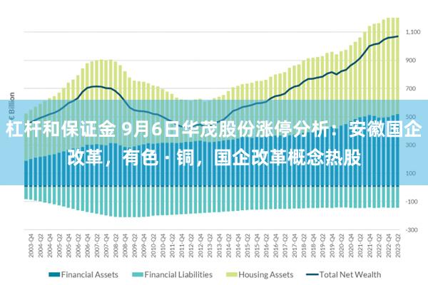 杠杆和保证金 9月6日华茂股份涨停分析：安徽国企改革，有色 