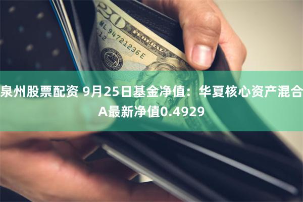 泉州股票配资 9月25日基金净值：华夏核心资产混合A最新净值