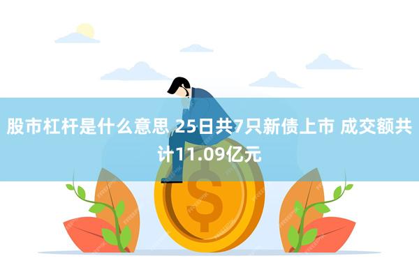 股市杠杆是什么意思 25日共7只新债上市 成交额共计11.0