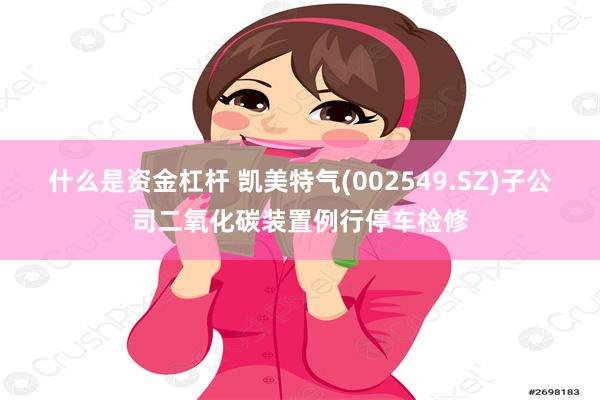 什么是资金杠杆 凯美特气(002549.SZ)子公司二氧化碳