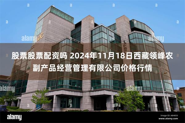 股票股票配资吗 2024年11月18日西藏领峰农副产品经营管