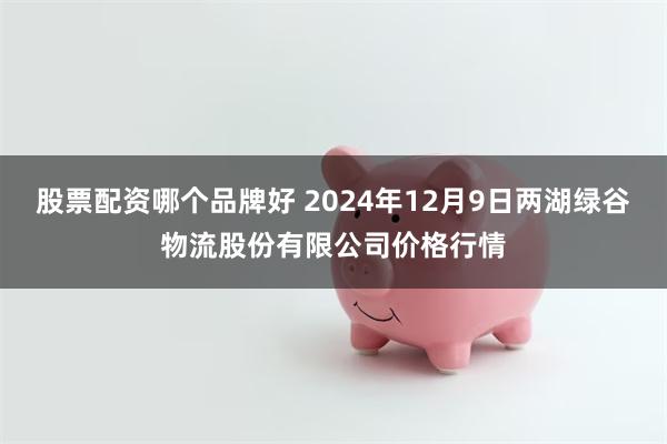 股票配资哪个品牌好 2024年12月9日两湖绿谷物流股份有限