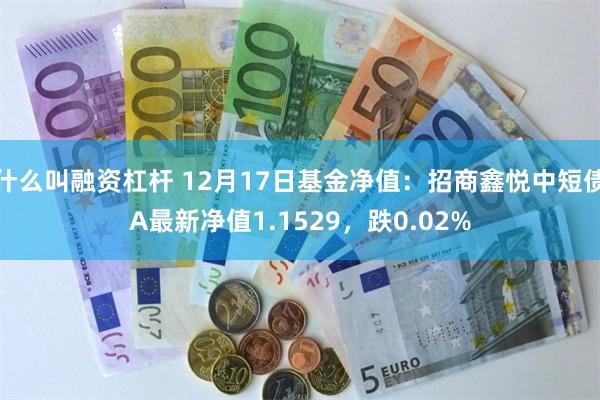 什么叫融资杠杆 12月17日基金净值：招商鑫悦中短债A最新净