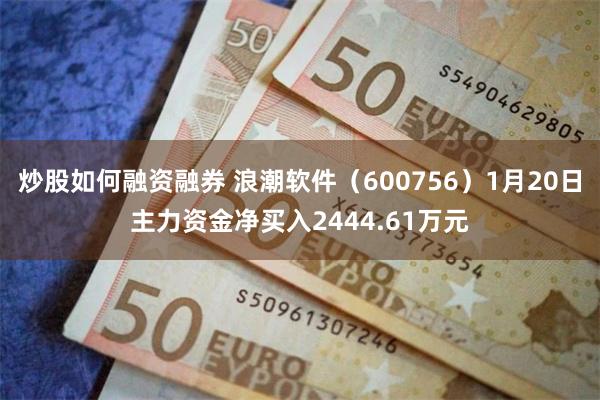 炒股如何融资融券 浪潮软件（600756）1月20日主力资金