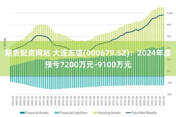 期货配资网站 大连友谊(000679.SZ)：2024年度预