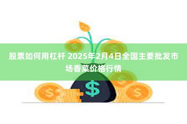 股票如何用杠杆 2025年2月4日全国主要批发市场香菜价格行