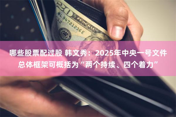 哪些股票配过股 韩文秀：2025年中央一号文件总体框架可概括