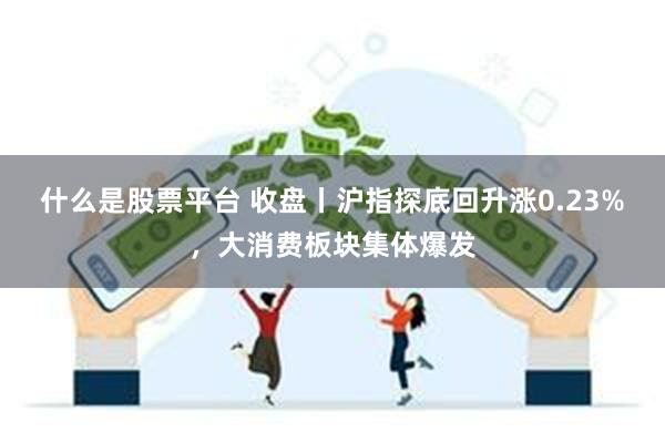 什么是股票平台 收盘丨沪指探底回升涨0.23%，大消费板块集