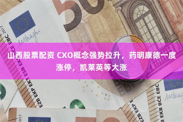 山西股票配资 CXO概念强势拉升，药明康德一度涨停，凯莱英等