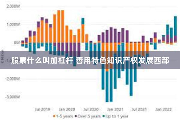 股票什么叫加杠杆 善用特色知识产权发展西部