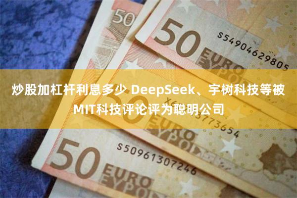 炒股加杠杆利息多少 DeepSeek、宇树科技等被MIT科技评论评为聪明公司